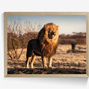 Affischer då och nu